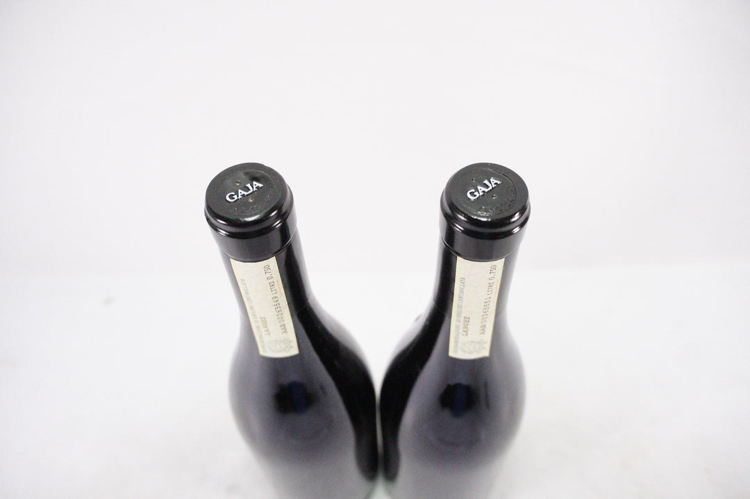 Gaja Sori Tildin 2008