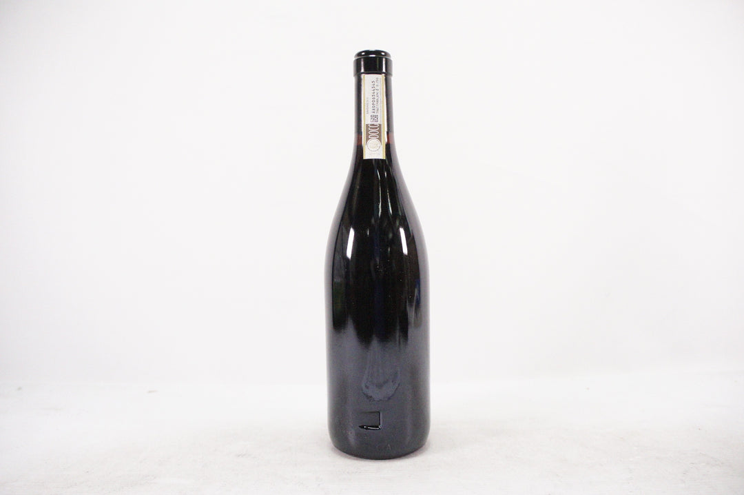 Gaja Sori Tildin 2013