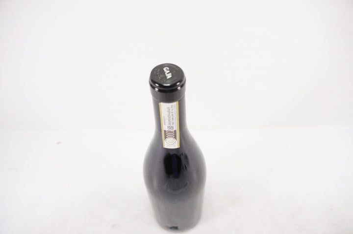 Gaja Sori Tildin 2013