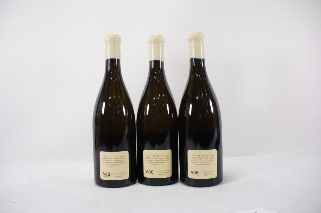 Pierre Yves Colin Morey St Aubin La Chateniere 1er Cru 2019
