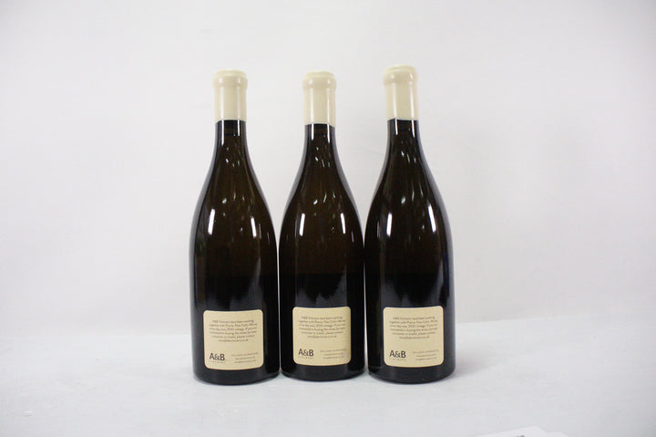 Pierre Yves Colin Morey St Aubin La Chateniere 1er Cru 2019