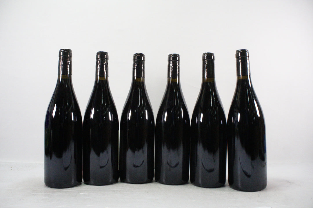 Rouchier Luc Saint Joseph 2019