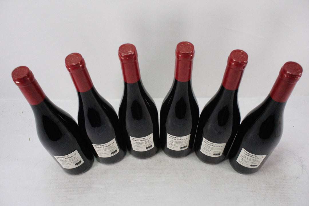 Guiberteau Saumur Rouge Les Moulins 2021