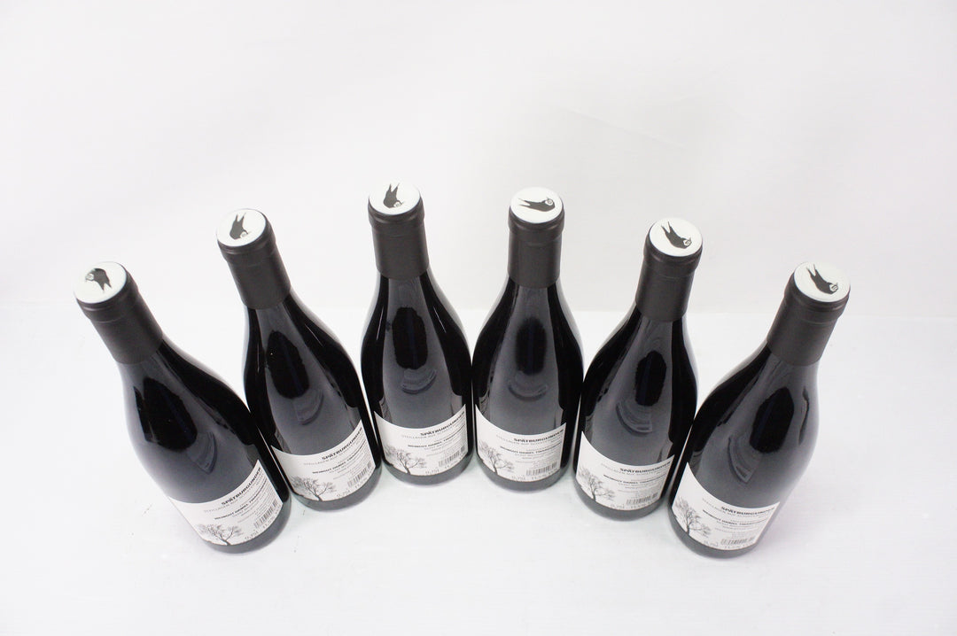 Daniel Twardowski Pinot Noix 2019