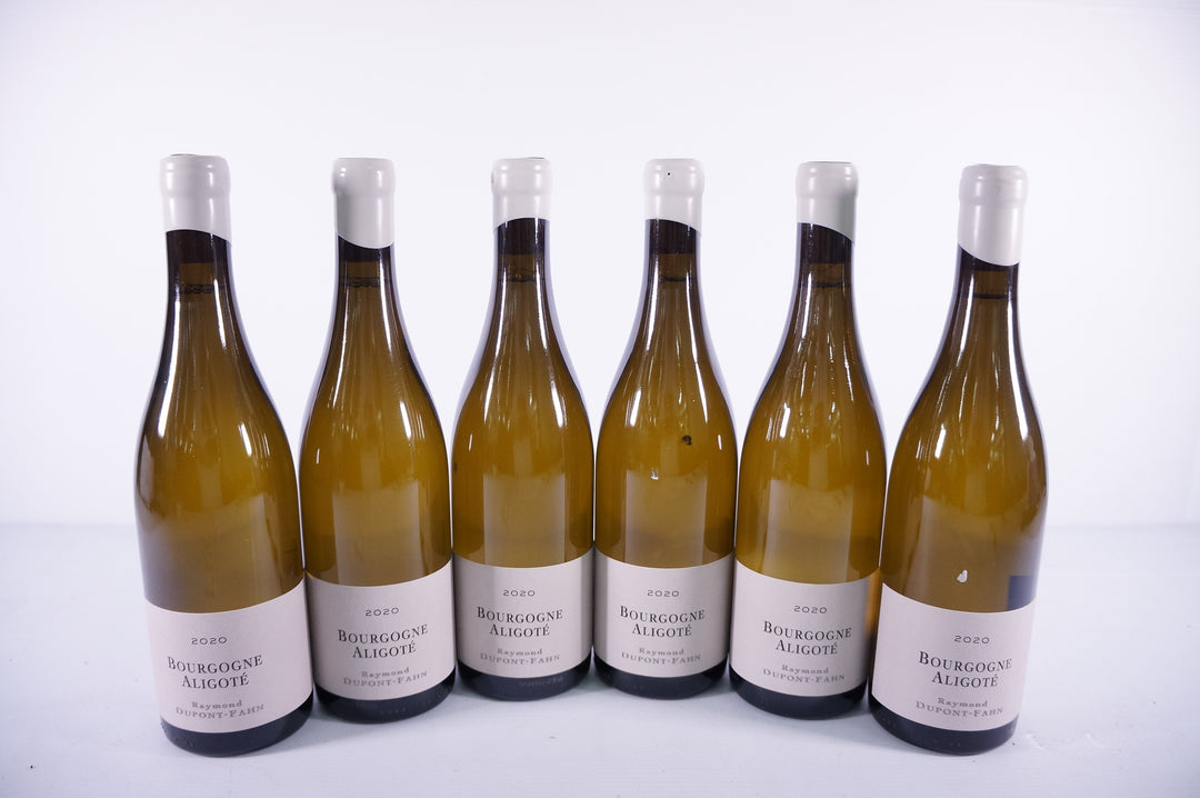 Dupont Fahn Raymond Bourgogne Aligote 2020