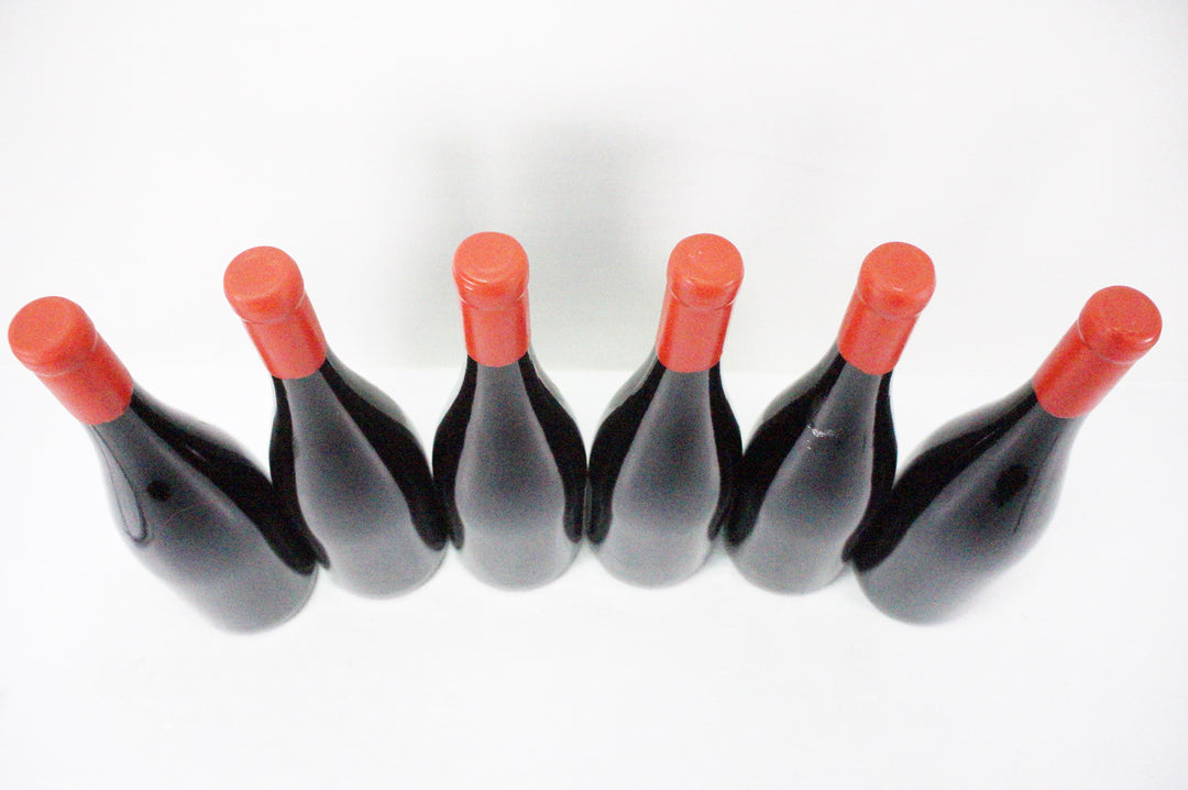 Domaine Fourrier Gevrey Chambertin VV 2020