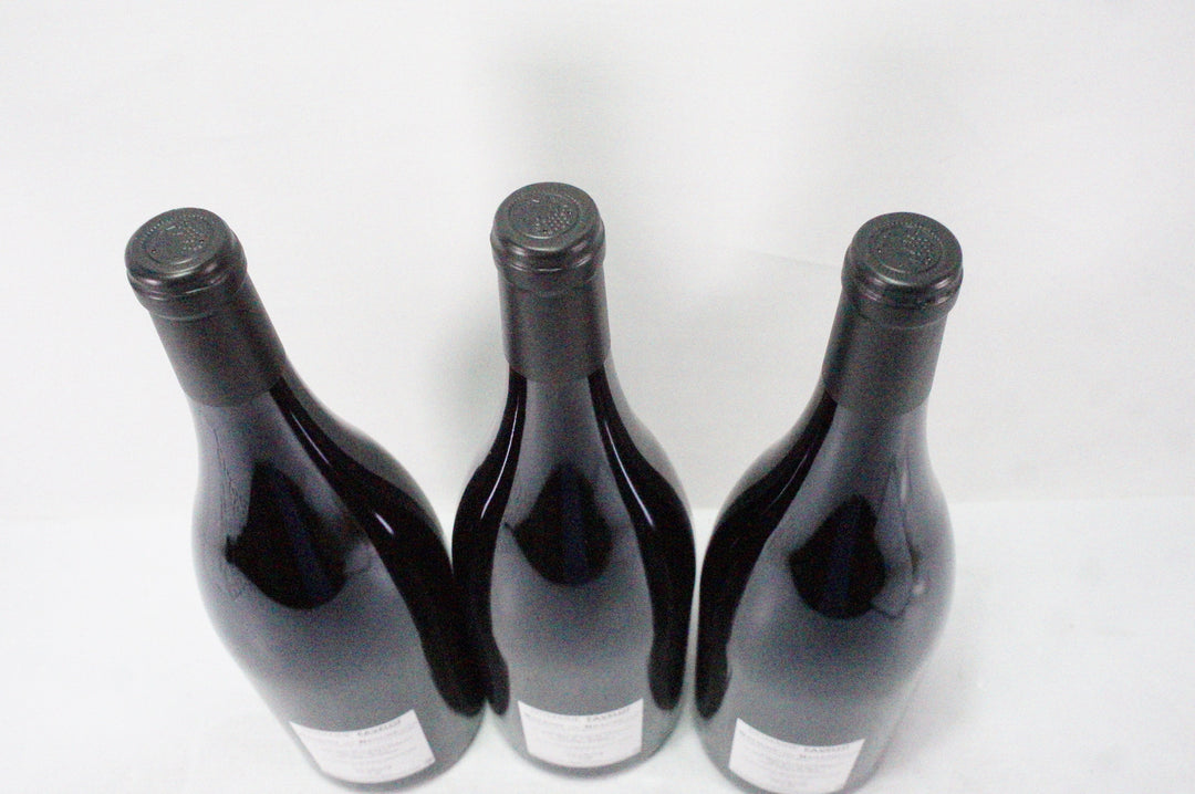Pavelot Savigny Les Beaune La Dominode 1er Cru Magnum 2019