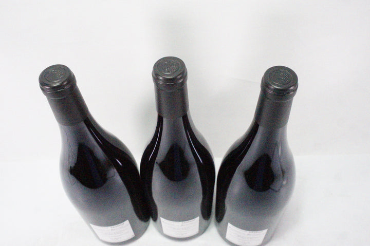 Pavelot Savigny Les Beaune La Dominode 1er Cru Magnum 2019