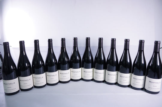 Pierre Boisson Monthelie 2020