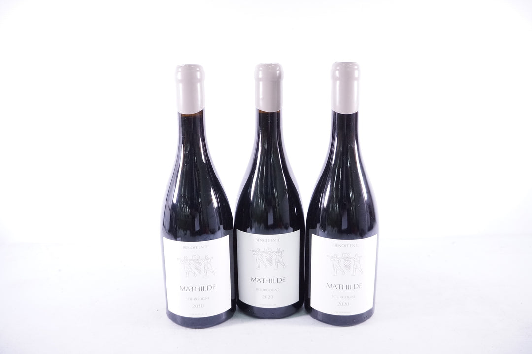Benoit Ente Bourgogne Mathilde Rouge 2020