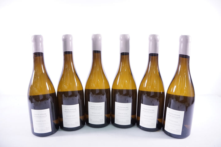 Benoit Ente Bourgogne Aligote Antichtone 2020