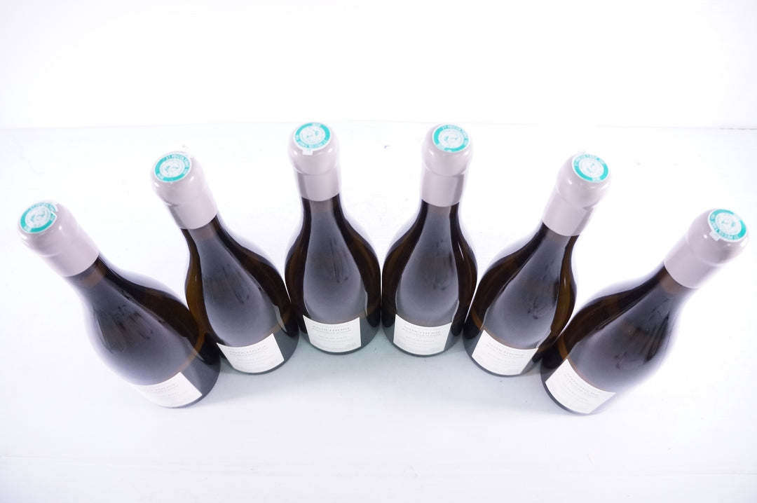Benoit Ente Bourgogne Aligote Antichtone 2020