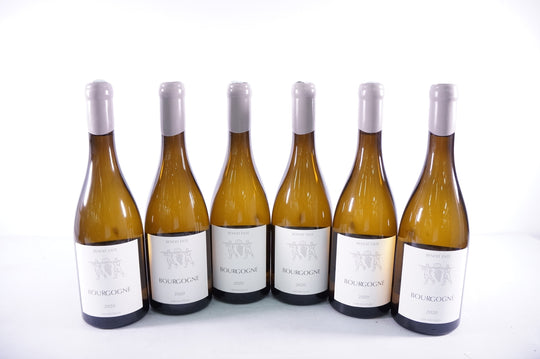 Benoit Ente Bourgogne Chardonnay 2020