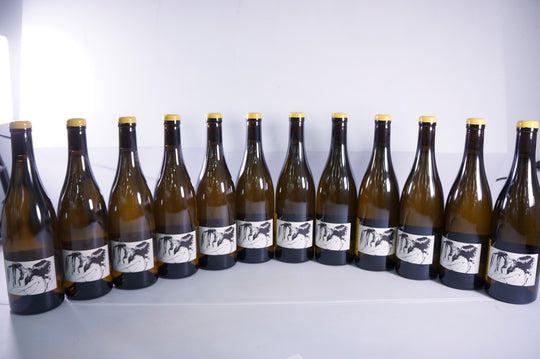 Pattes Loup Chablis Vent d'Ange 2017