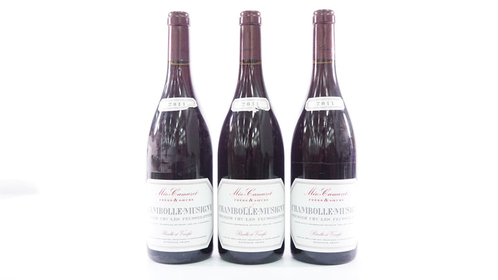 Meo Camuzet Chambolle Musigny Les Feusselottes 1er Cru 2011 *