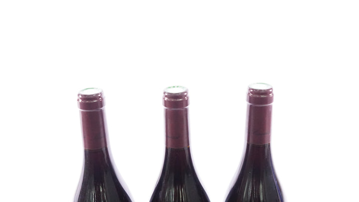 Meo Camuzet Chambolle Musigny Les Feusselottes 1er Cru 2011 *
