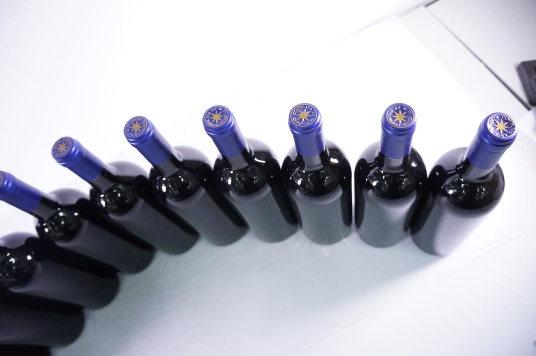 Sassicaia 1995