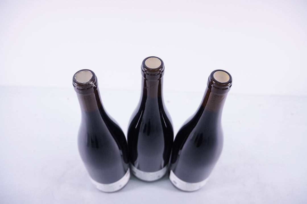 Prieure Roch Nuits Saint Georges Clos des Argillieres 1er Cru 2020