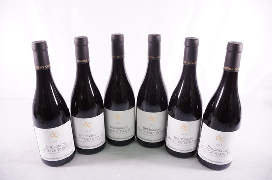 Sylvain Cathiard Hautes Cotes de Nuits 2021