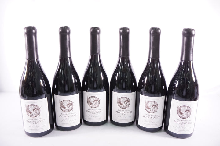 Domaine Jules Desjourneys Moulin a Vent Les Michelons 2010