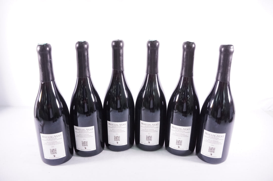Domaine Jules Desjourneys Moulin a Vent Les Michelons 2010