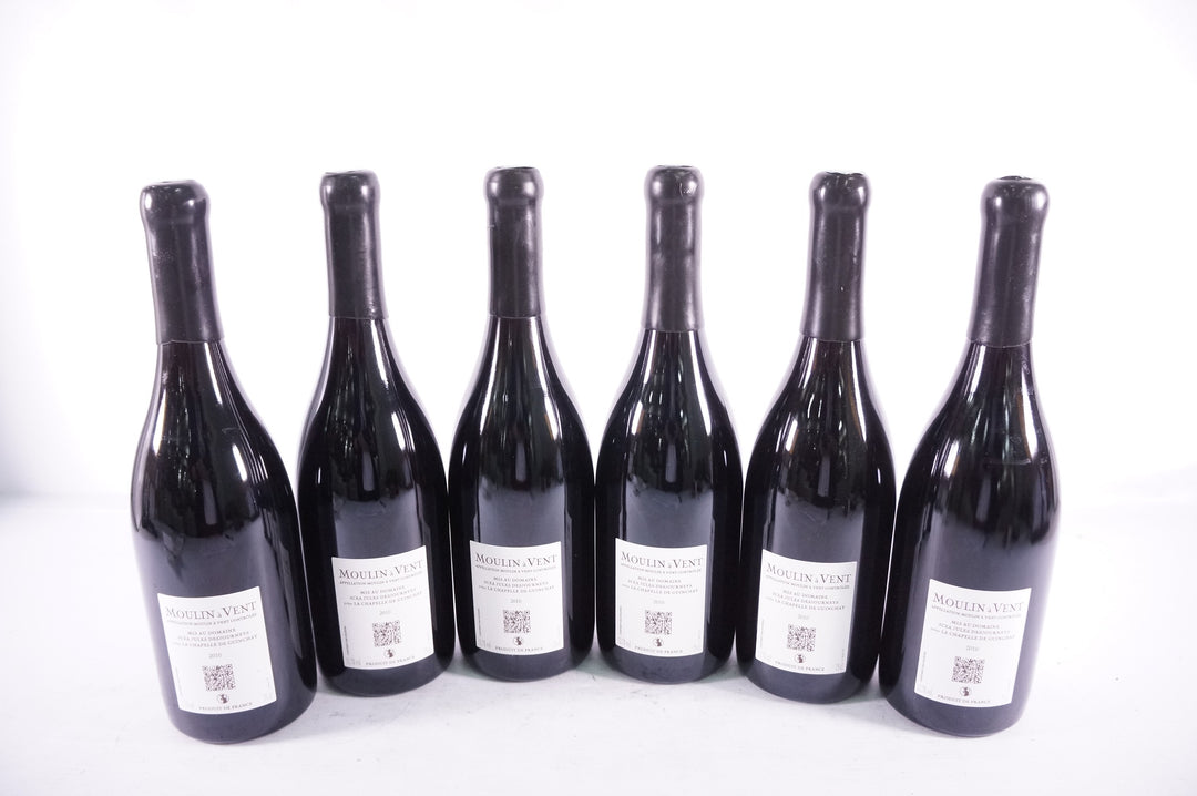 Domaine Jules Desjourneys Moulin a Vent 2010