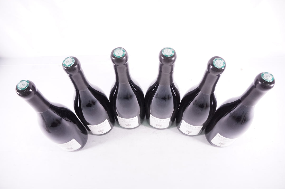 Domaine Jules Desjourneys Moulin a Vent 2010