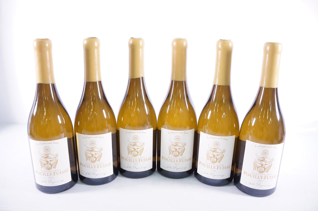 Domaine Jules Desjourneys Pouilly Fuisse Vignes de la Cote 2016