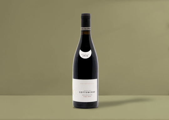 Cottenceau Bourgogne Rouge 2020
