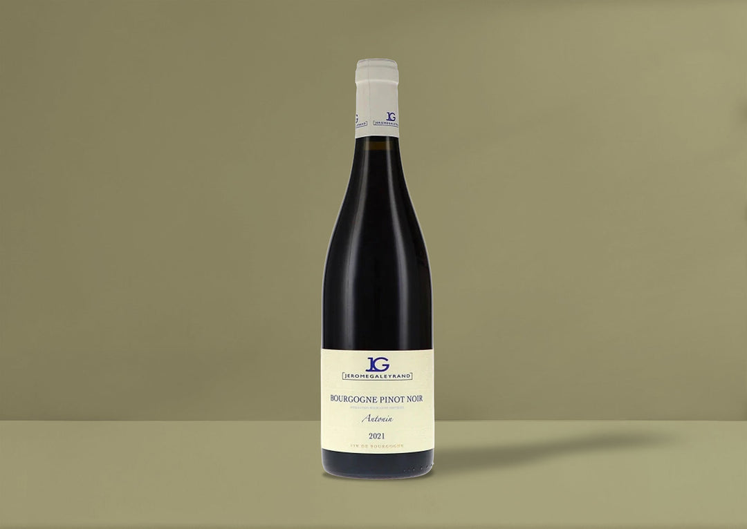 Jerome Galeyrand Cuvee Antonin Bourgogne Rouge 2021