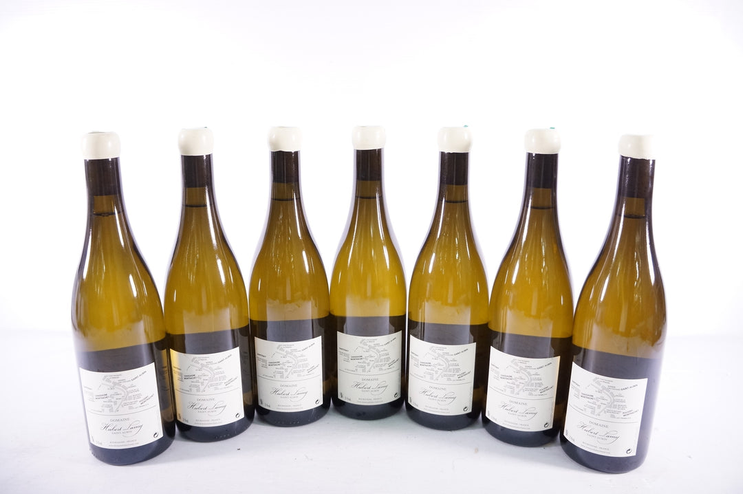 Hubert Lamy Saint Aubin Clos de la Chateniere 1er Cru VV 2013