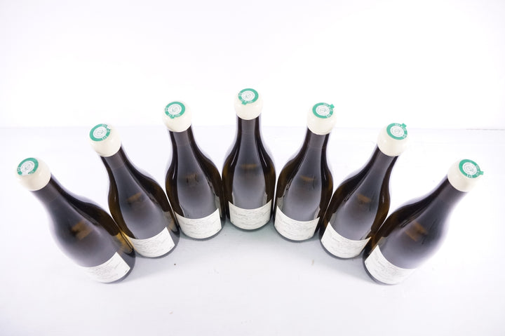 Hubert Lamy Saint Aubin Clos de la Chateniere 1er Cru VV 2013