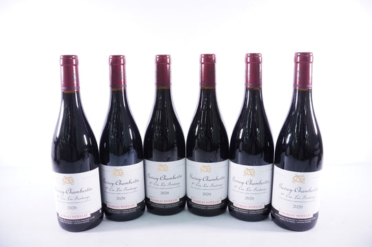 Georges Noellat Gevrey Chambertin Fontenys 1er Cru 2020