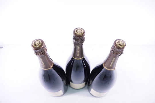 Pascal Doquet Anthocyanes Rose 1er Cru Magnum NV