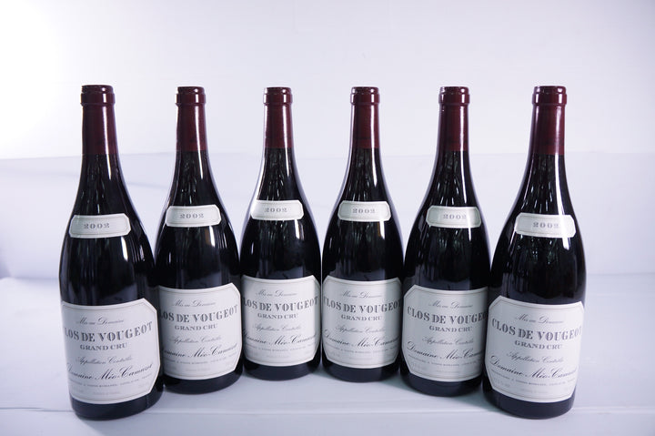 Meo Camuzet Clos de Vougeot Grand Cru 2002
