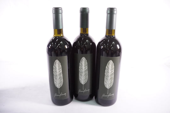 Bruno Rocca Maria Adelaide Barbaresco 2009