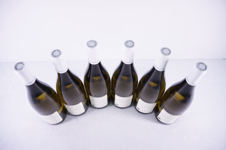 Domaine de Villaine Bourgogne Cote Chalonnaise Les Clous Aime Blanc 2021