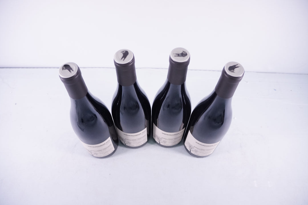 Daniel Twardowski Ardoise Pinot Noix 2012