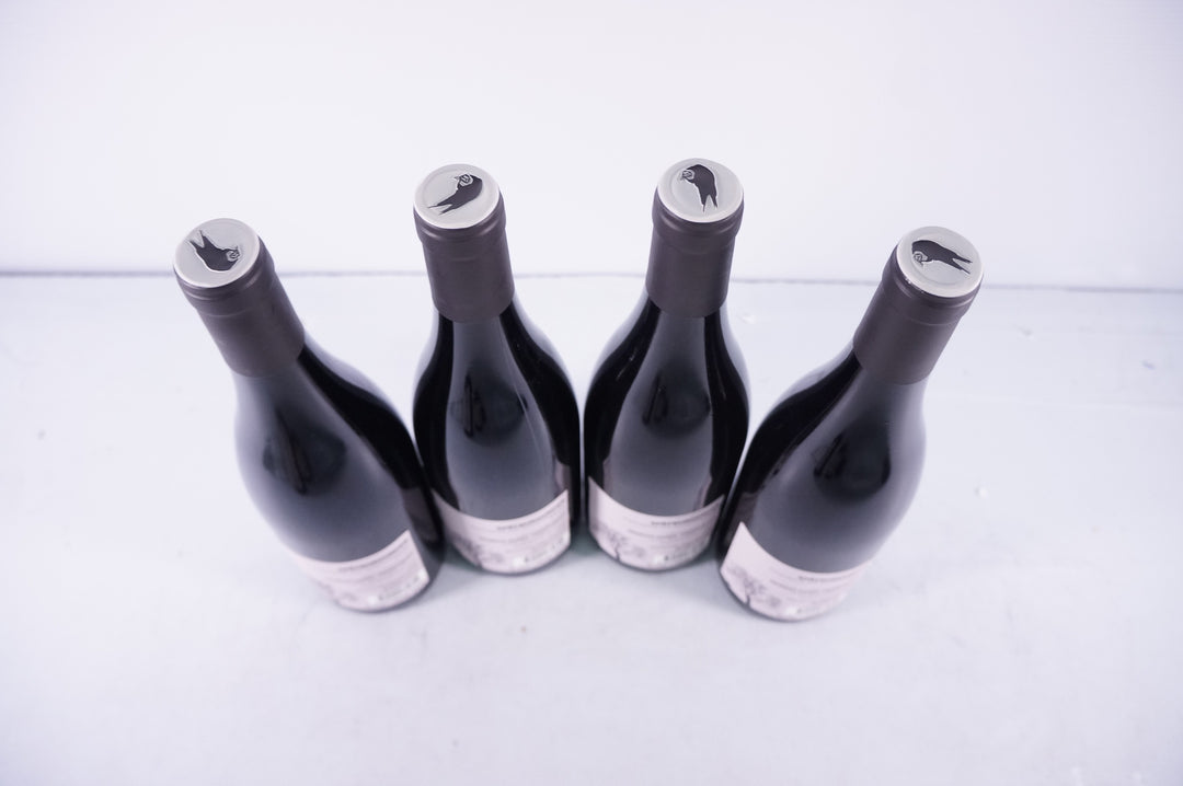 Daniel Twardowski Ardoise Pinot Noix 2016
