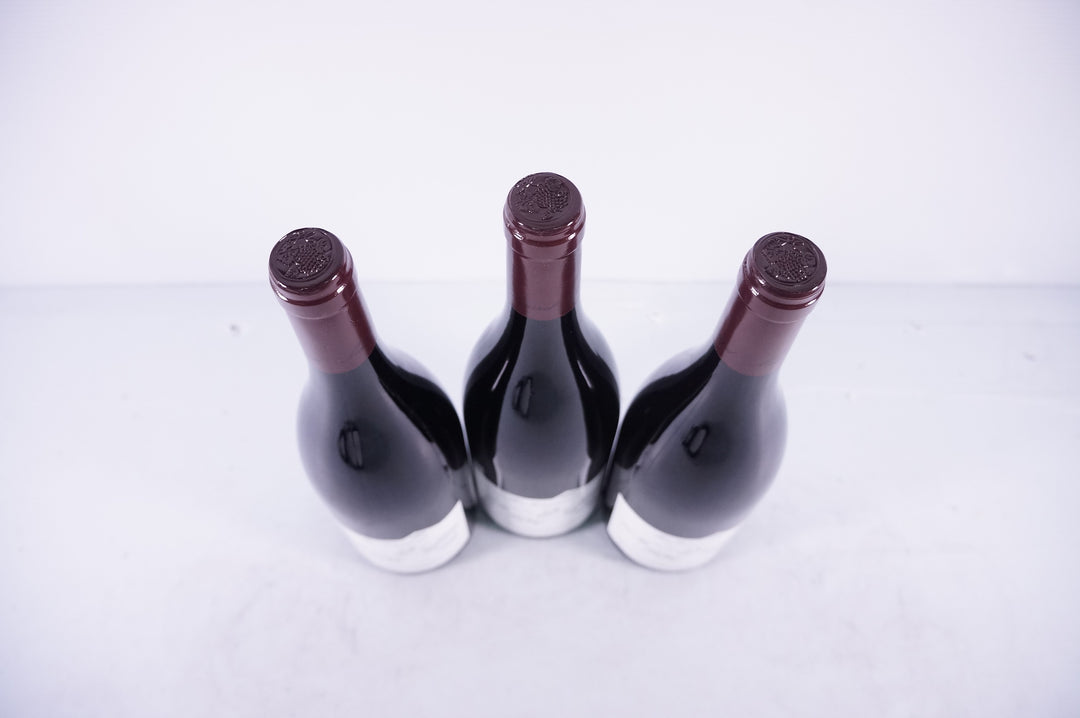 Meo Camuzet Nuits Saint Georges Aux Boudots 1er Cru 2020