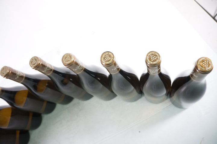 Francois Carillon Puligny Montrachet Les Champ Gain 1er Cru 2019