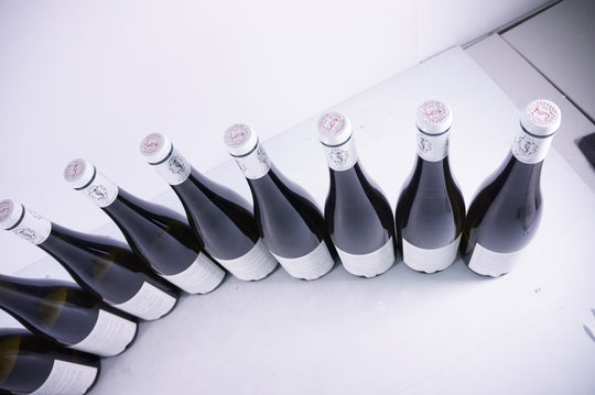 Nicolas Joly Clos de la Coulee de Serrant 2019