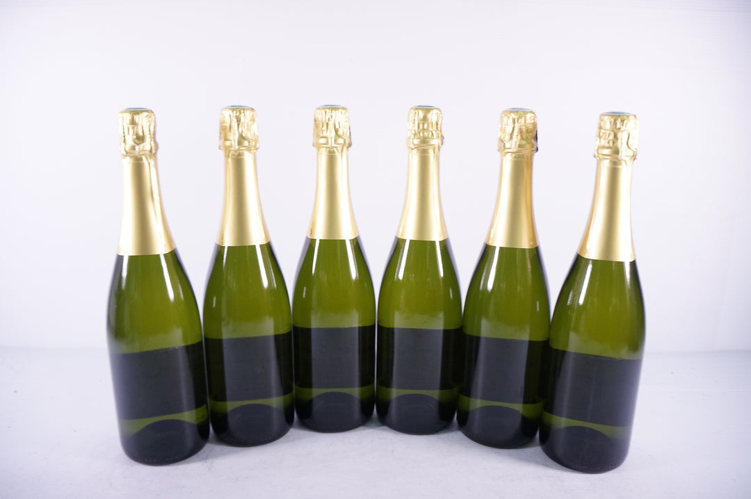 Anne Gros Cremant de Bourgogne NV