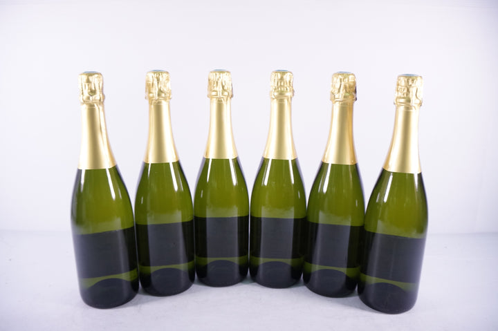 Anne Gros Cremant de Bourgogne NV