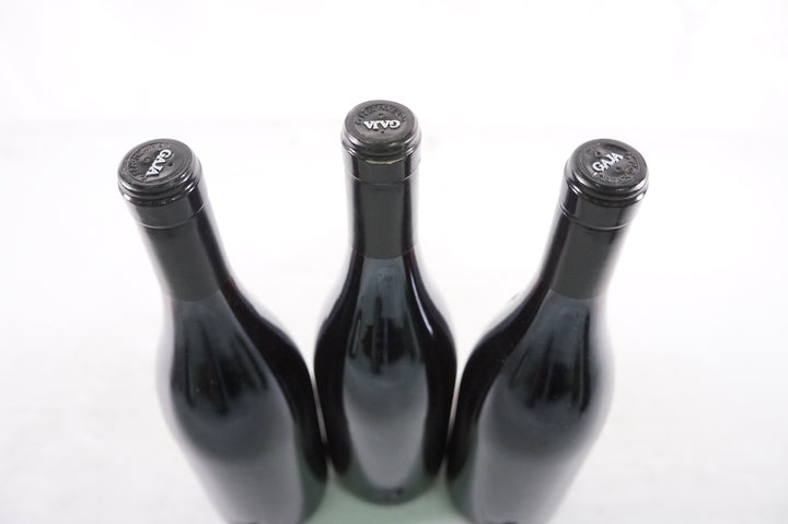 Gaja Sori Tildin 2004