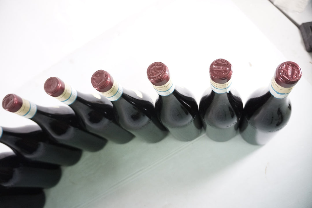 Lorenzo Accomasso Barbera d'Alba Pochi Filagn 2018