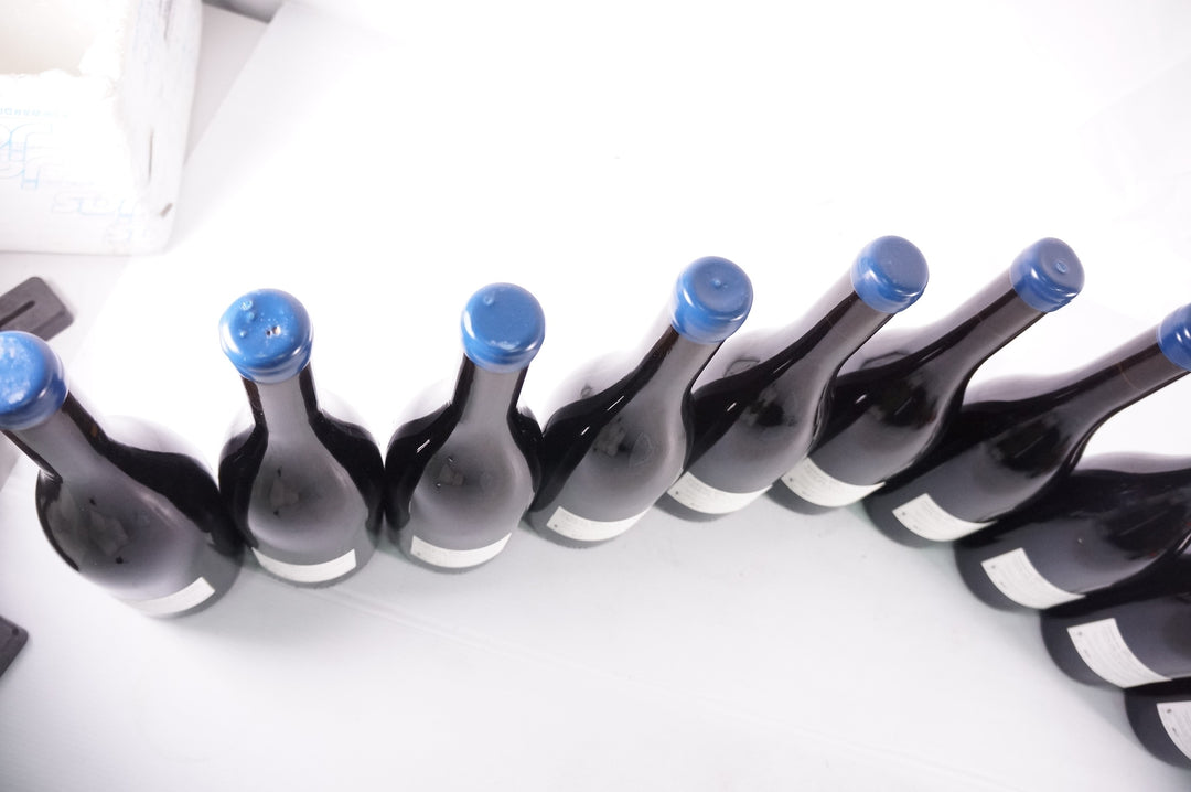Thiriet Cote de Nuits Clos Magny 2021