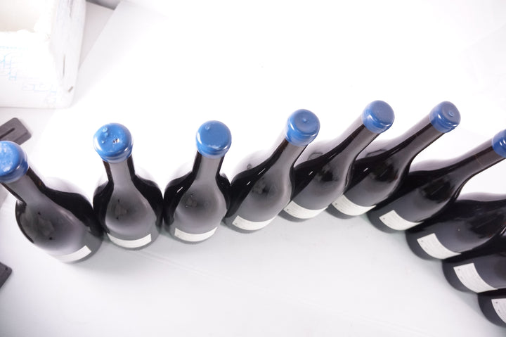 Thiriet Cote de Nuits Clos Magny 2021