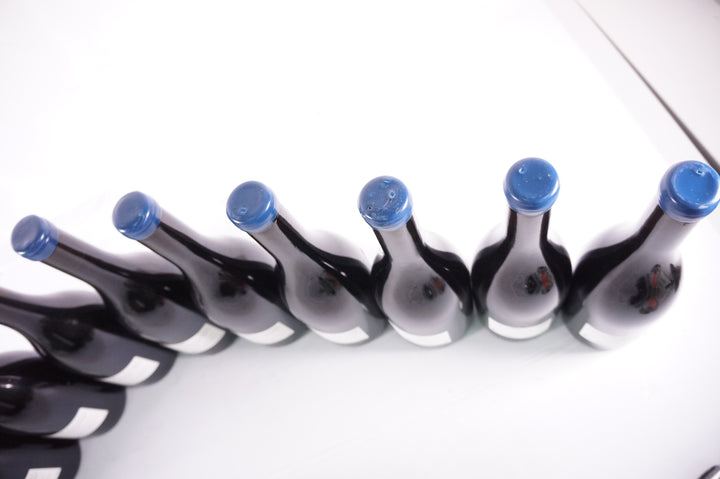 Thiriet Cote de Nuits Clos Magny 2021