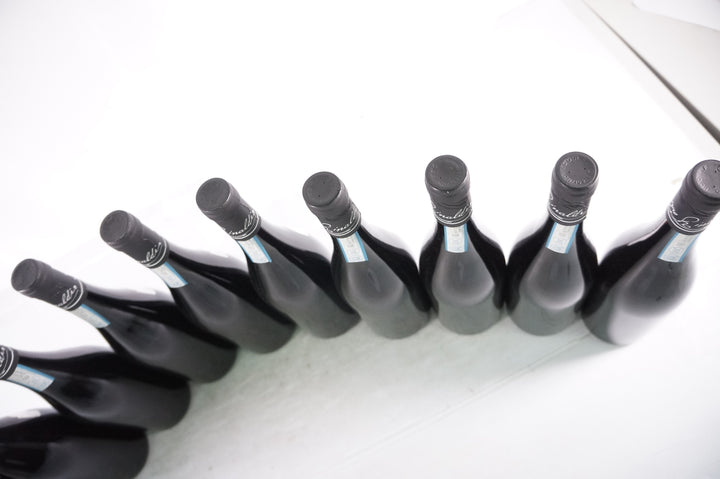 Giuseppe Rinaldi Barbera d'Alba 2021